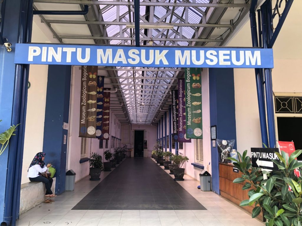 PINTU MASUK MUSEUM