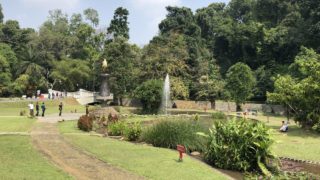 ボゴール植物園/Kebun Raya Bogor/Bogor Botanical Gardens